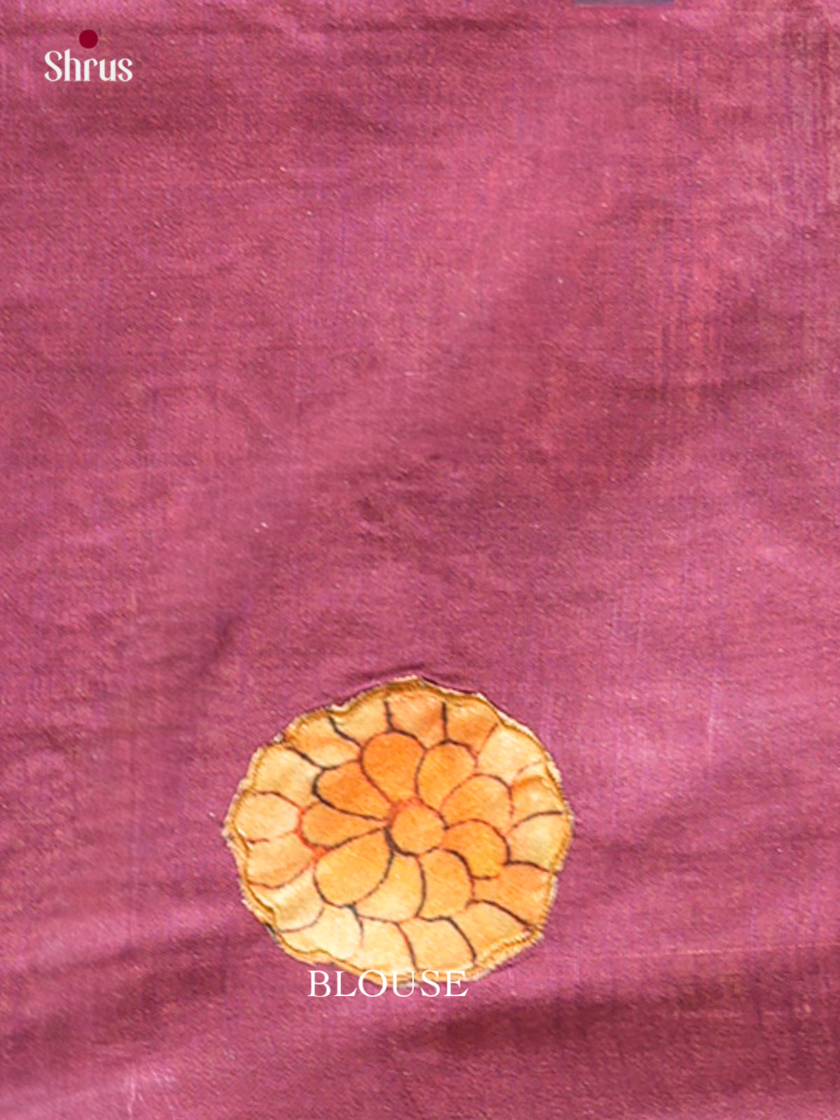 Kalamkari Applique Saree - EGS13031
