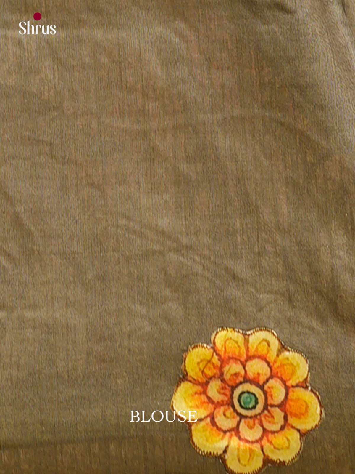 Kalamkari Applique Saree - EGS13032