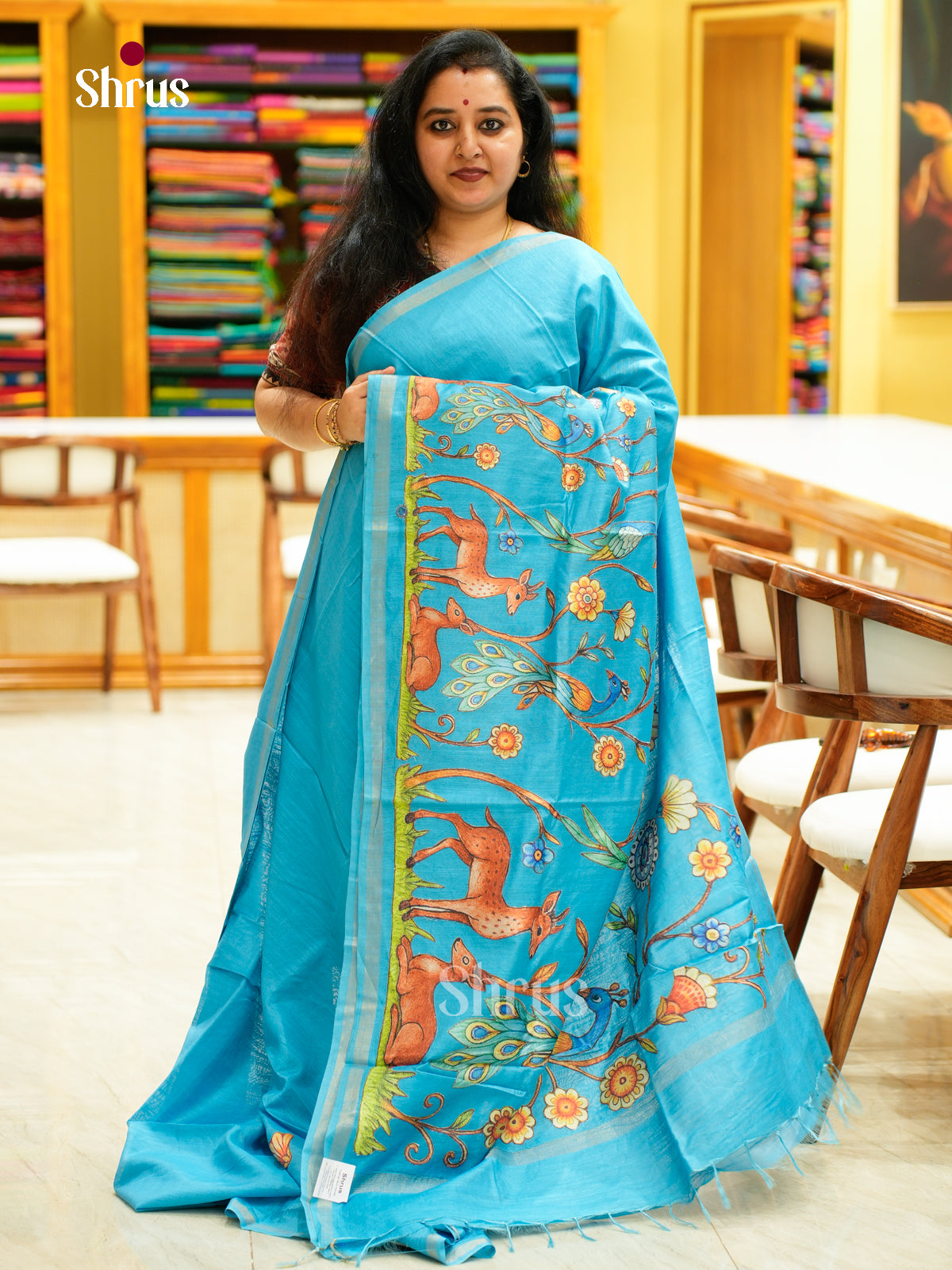 Kalamkari Applique Saree - EGS13035
