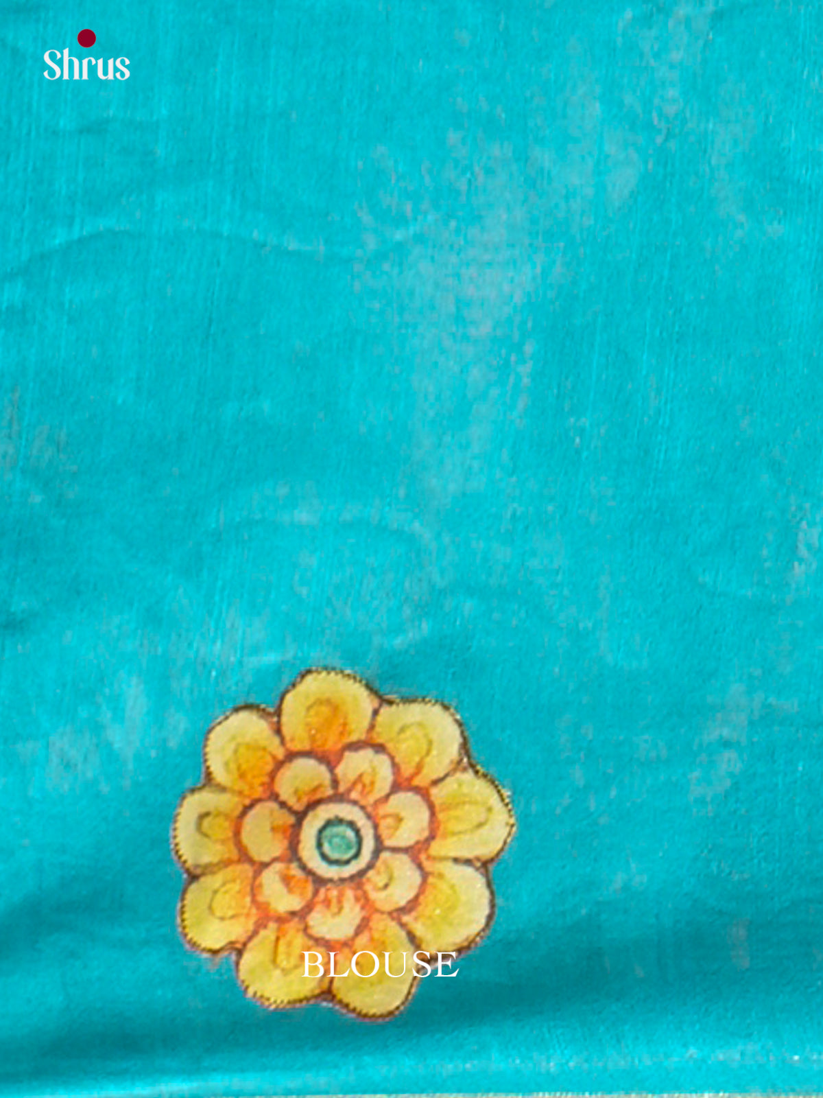 Kalamkari Applique Saree - EGS13035