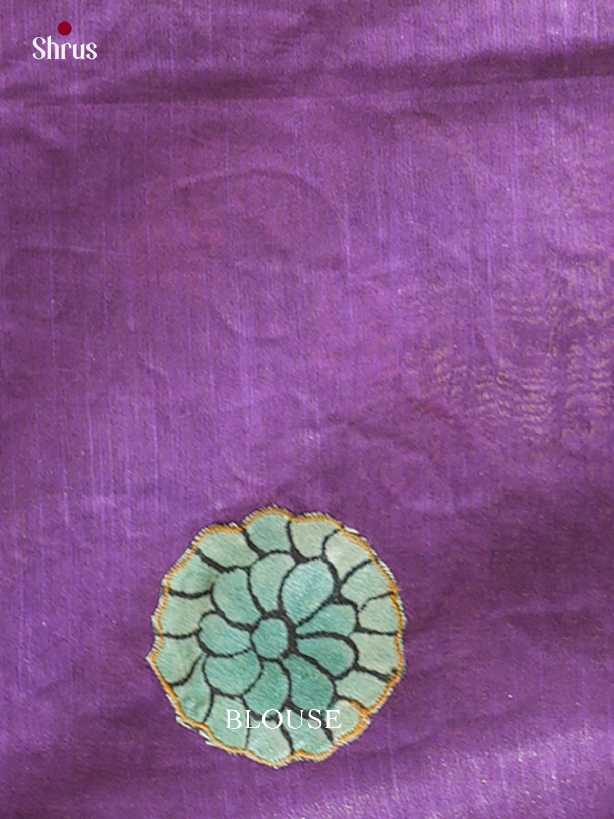 Kalamkari Applique Saree - EGS13045