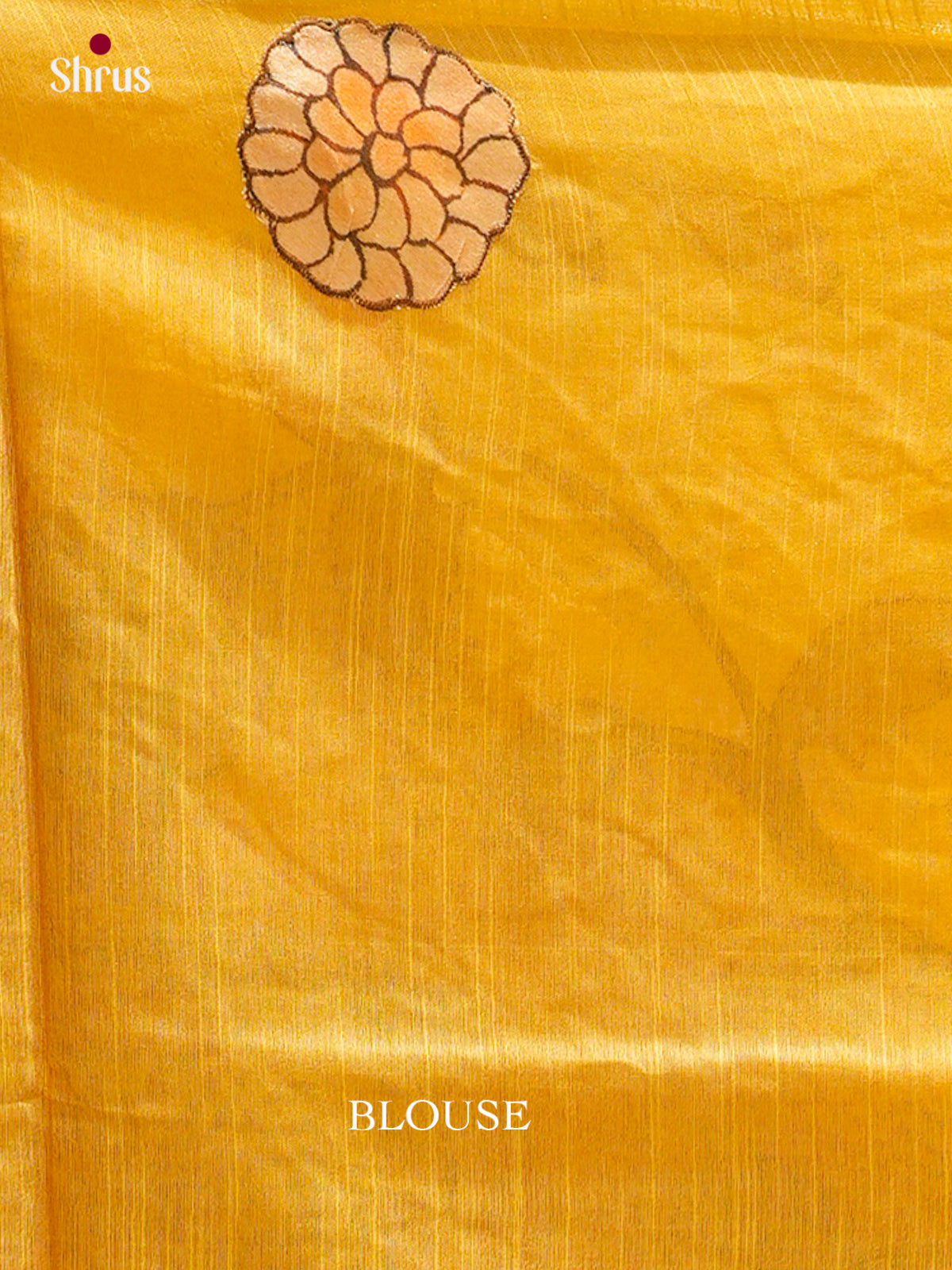 Kalamkari Applique Saree - EGS13051