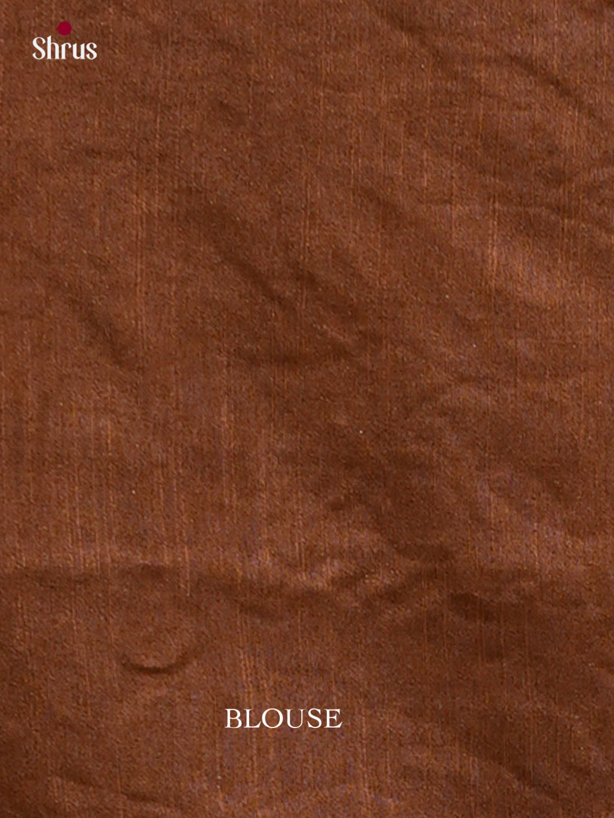 Kalamkari Applique Saree - EGS13052