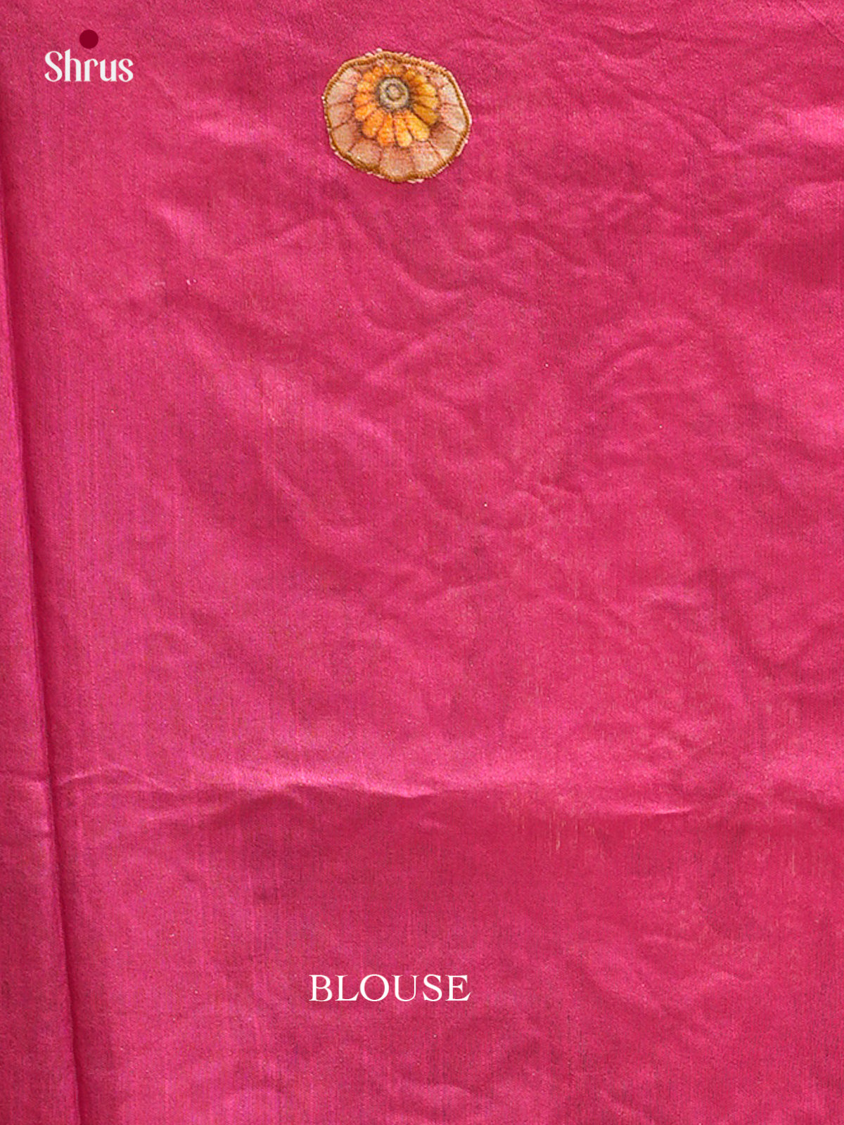 Kalamkari Applique Saree - EGS13053
