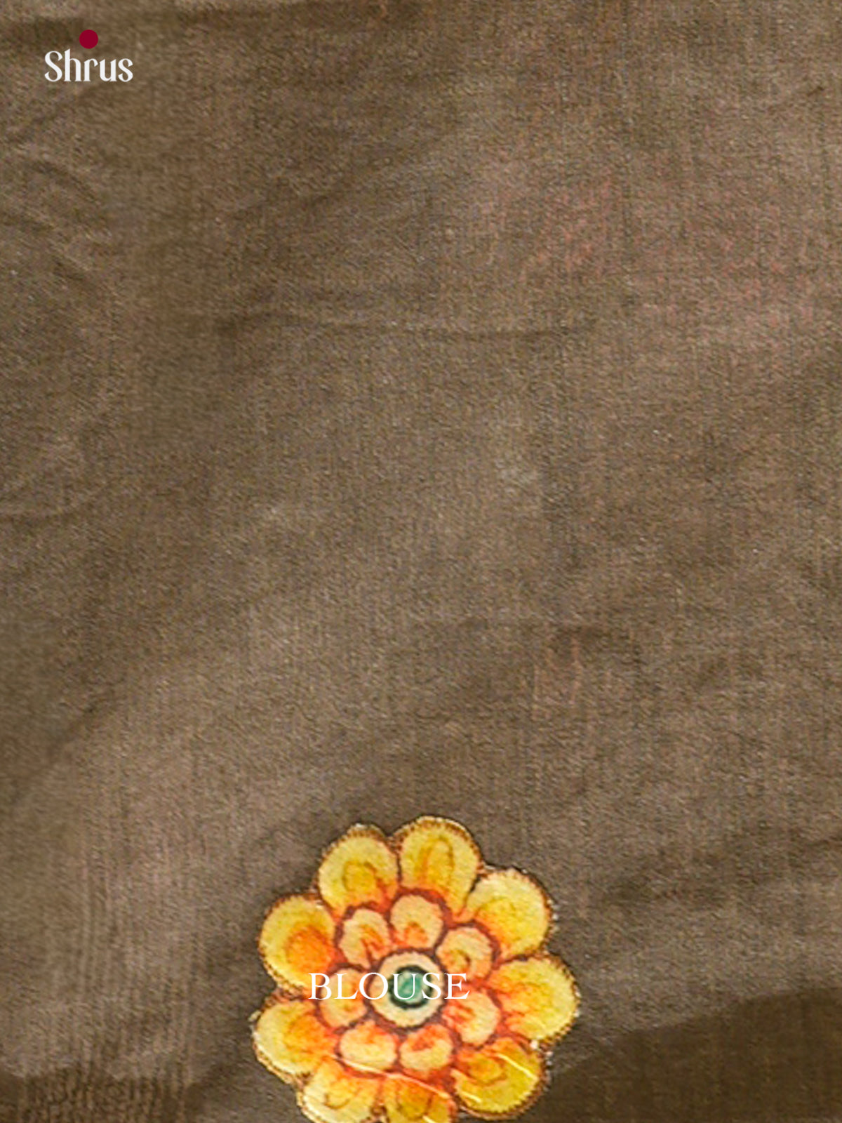 Kalamkari Applique Saree - EGS13058