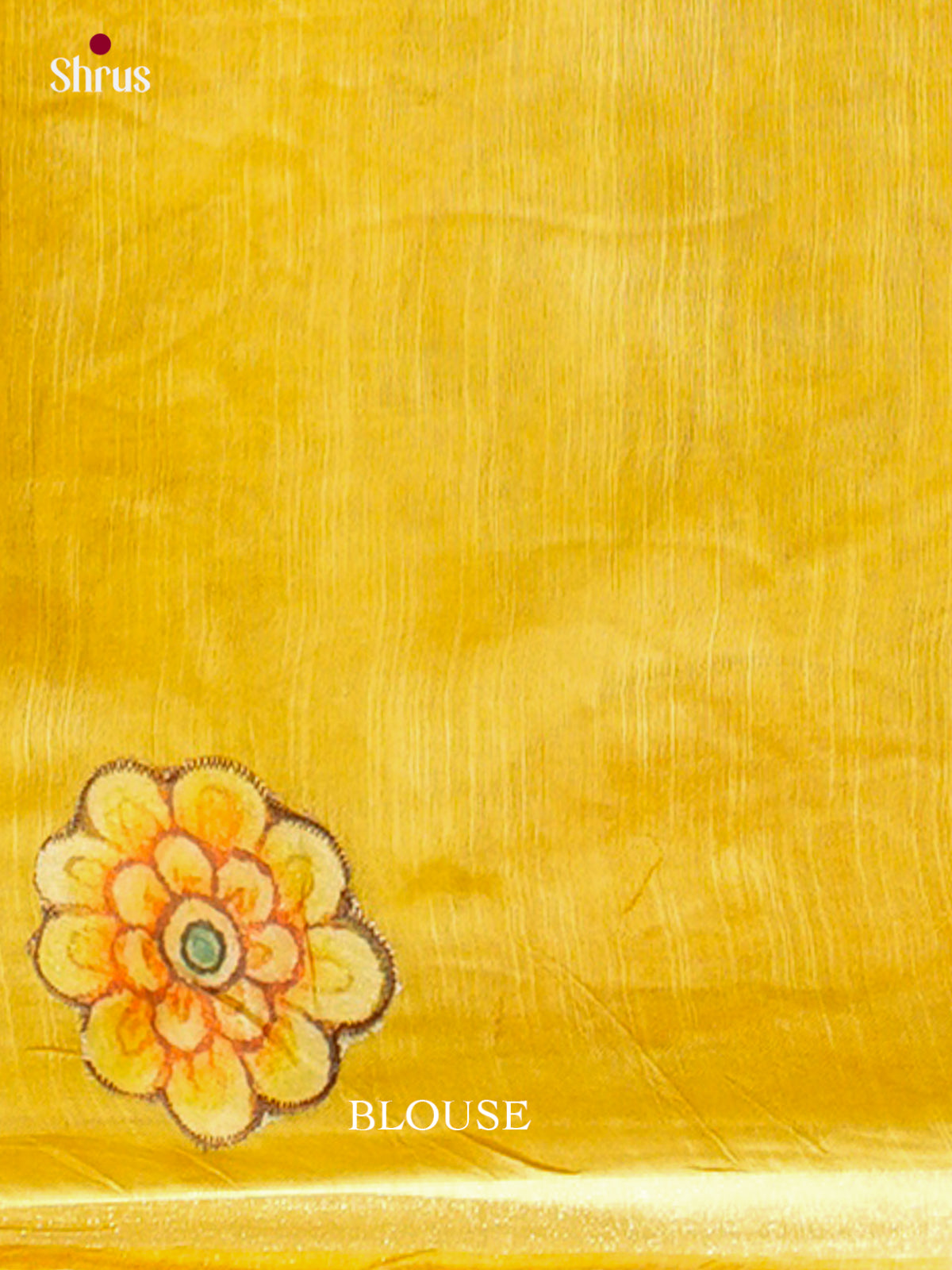 Kalamkari Applique Saree - EGS13060