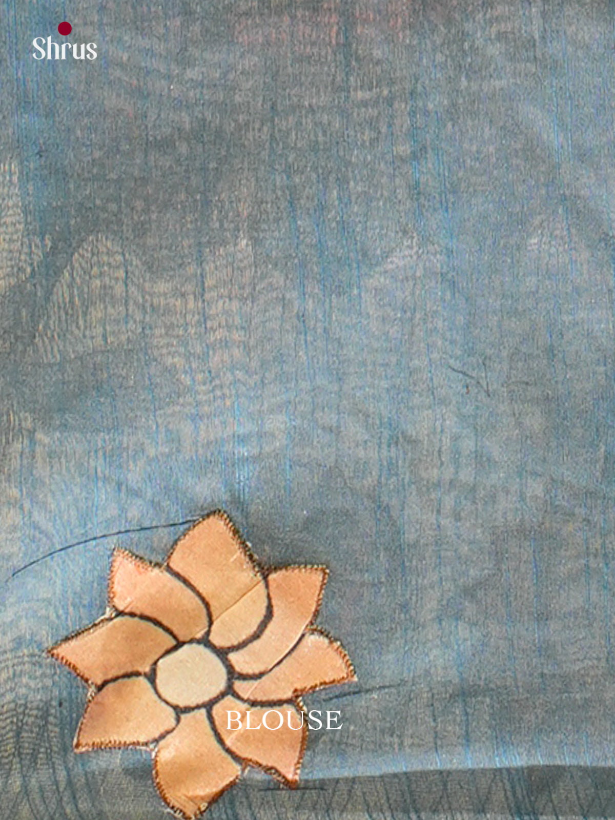 Kalamkari Applique Saree - EGS13069