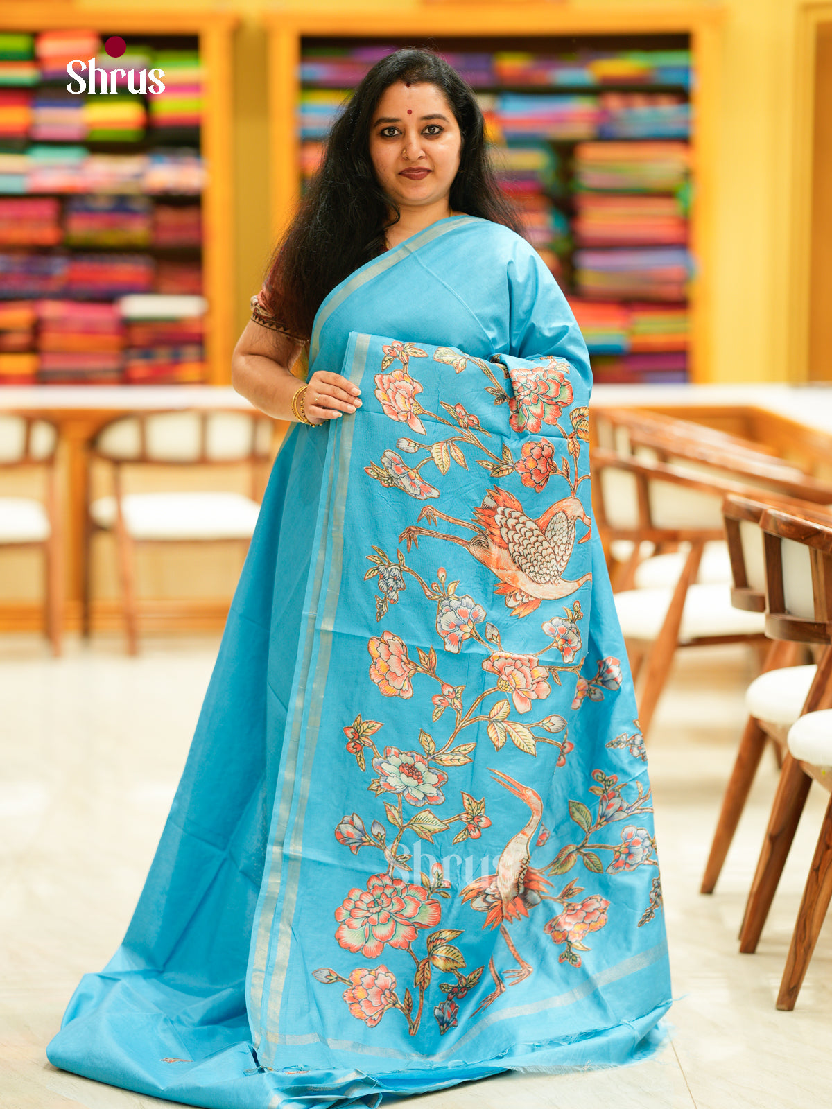 Kalamkari Applique Saree - EGS13071