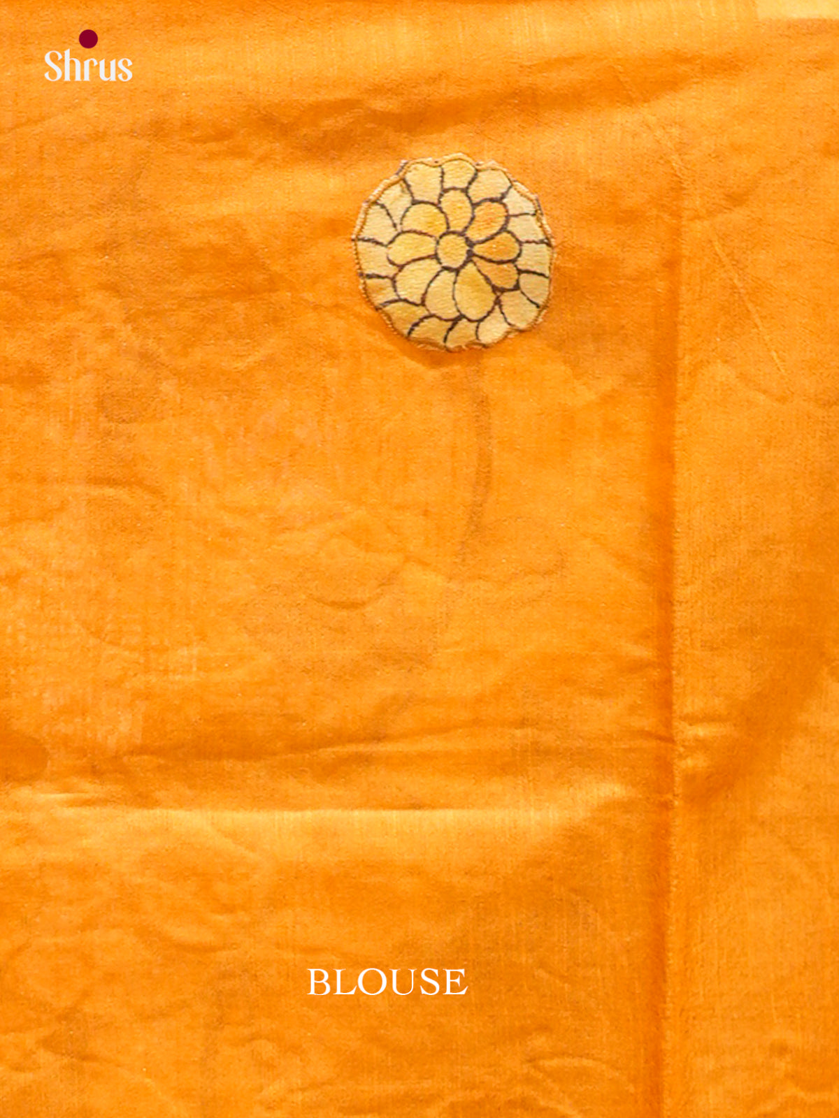 Kalamkari Applique Saree - EGS13073