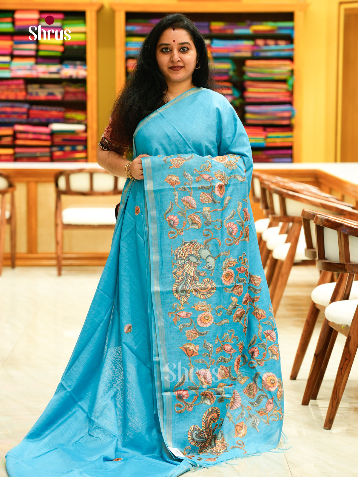 Kalamkari Applique Saree - EGS13079