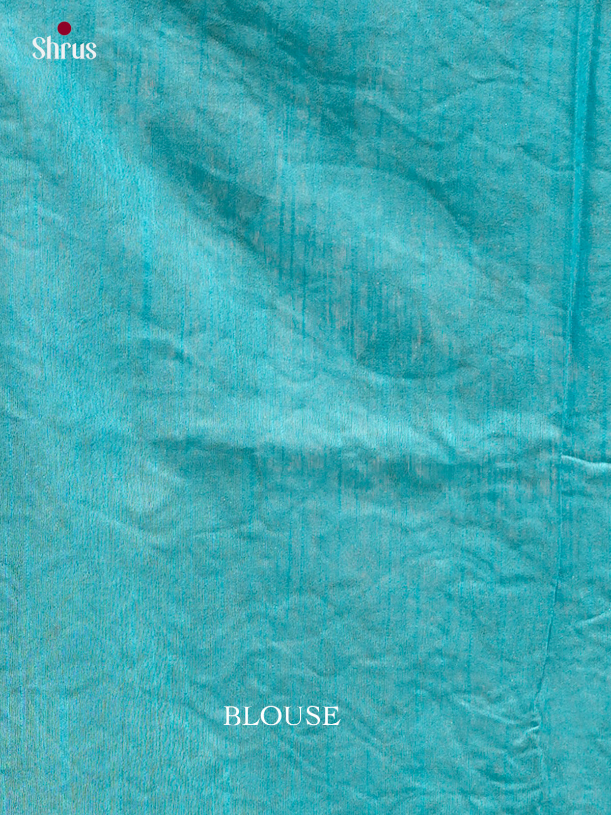 Kalamkari Applique Saree - EGS13079