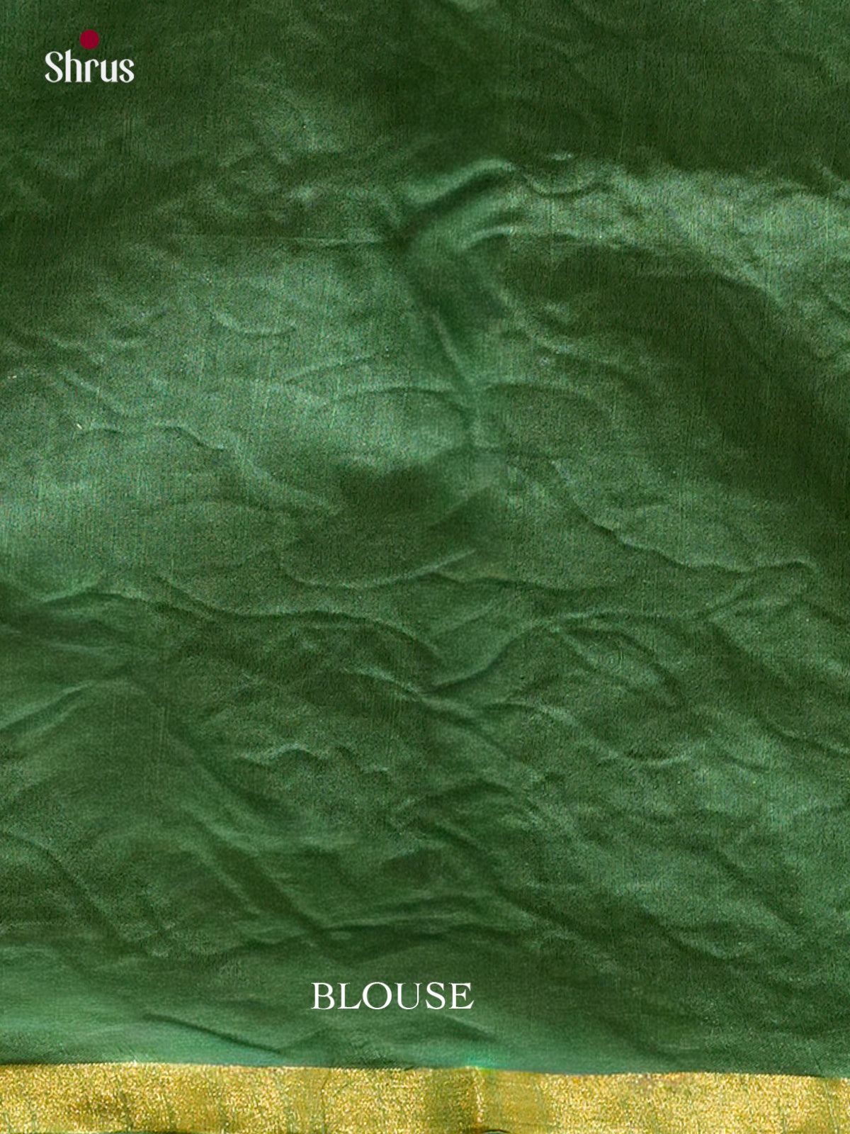 Kalamkari Applique Saree - EGS13080