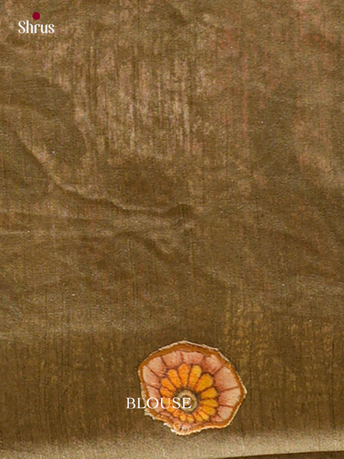 Kalamkari Applique Saree - EGS13084