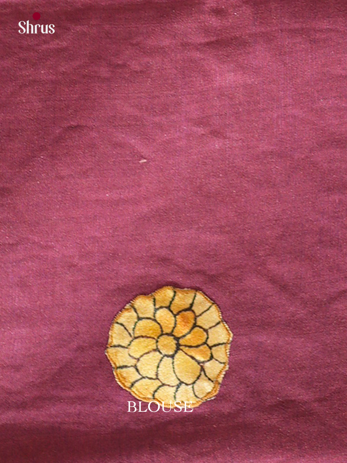 Kalamkari Applique Saree - EGS13086