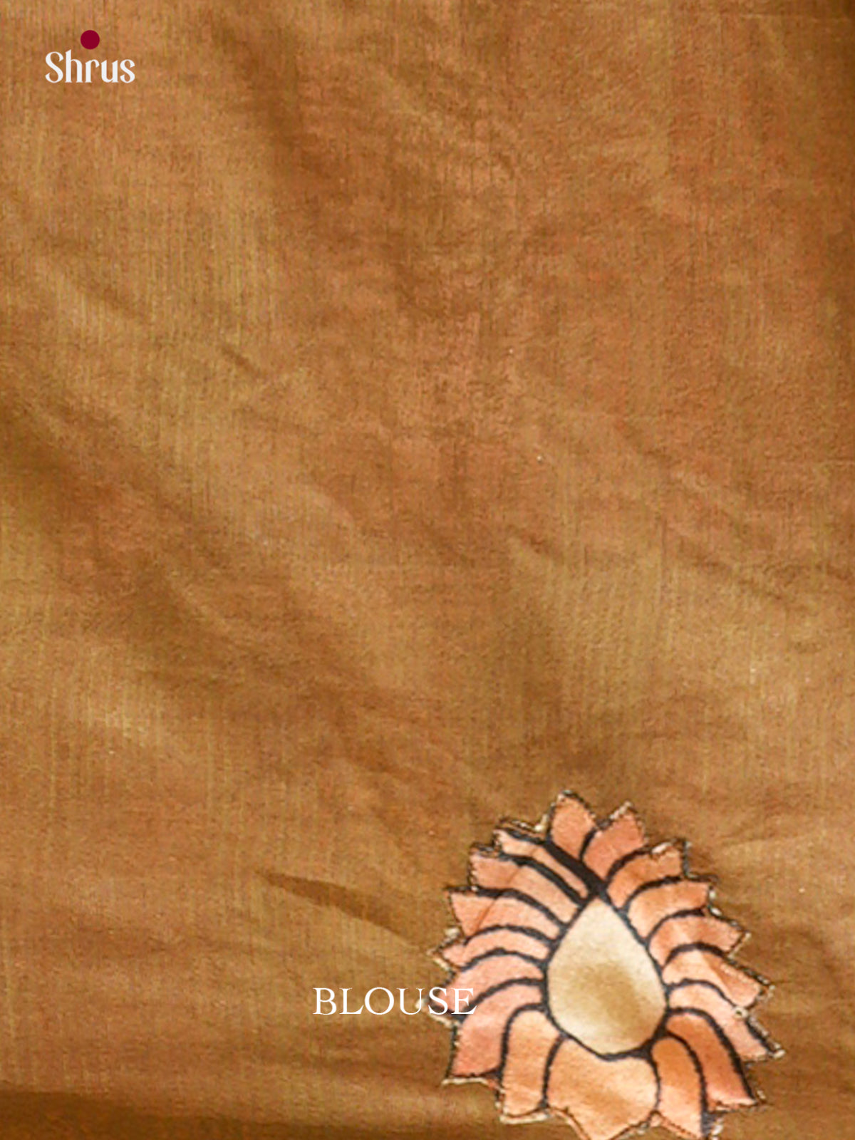 Kalamkari Applique Saree - EGS13087