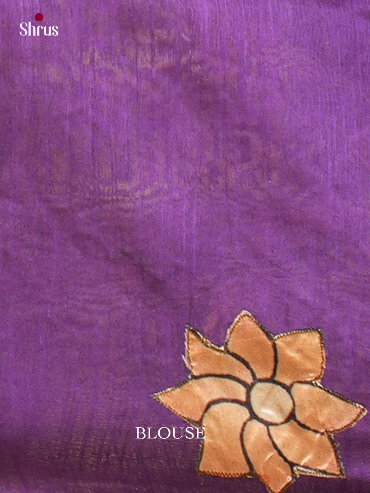 Kalamkari Applique Saree - EGS13090