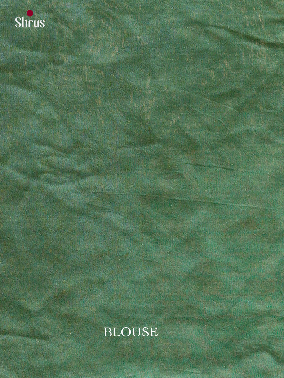 Kalamkari Applique Saree - EGS13095