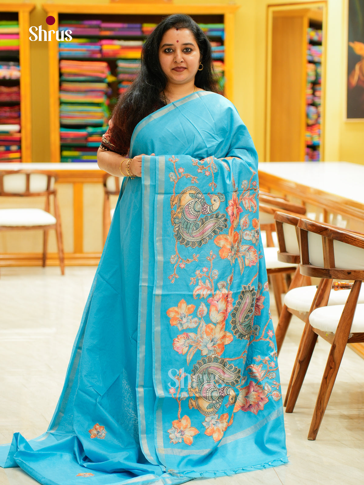 Kalamkari Applique Saree - EGS13115