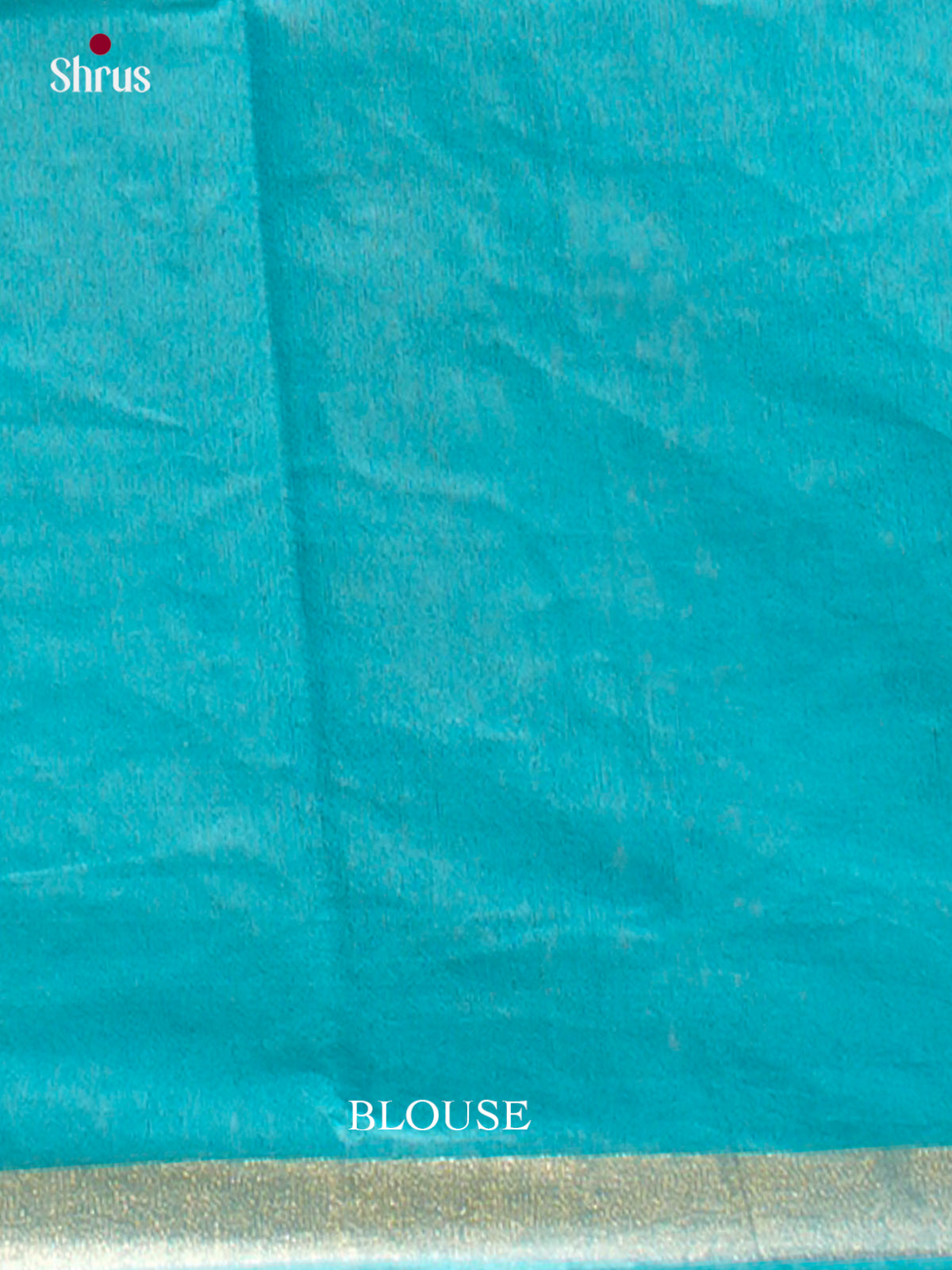 Kalamkari Applique Saree - EGS13115