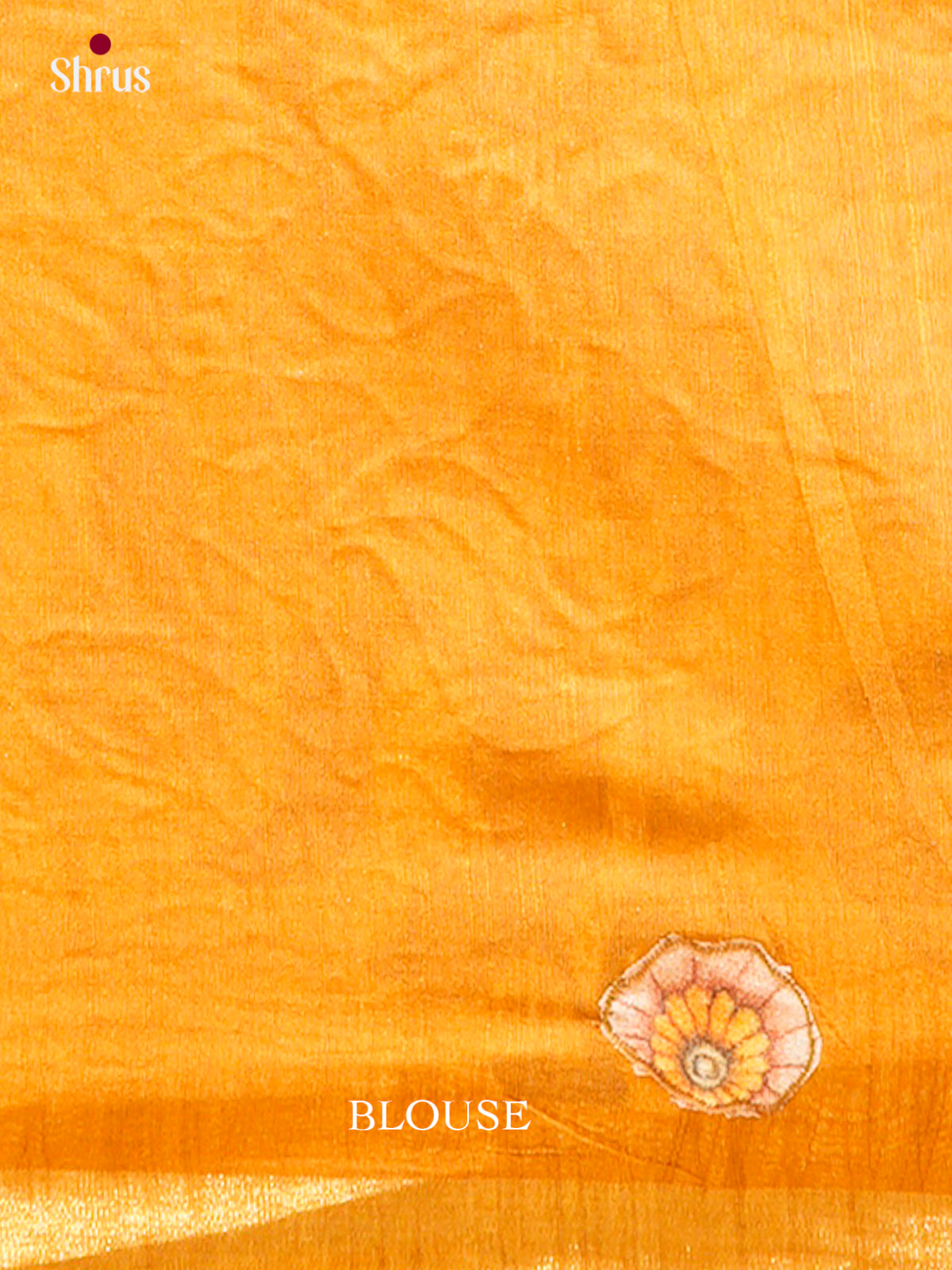 Kalamkari Applique Saree - EGS13134