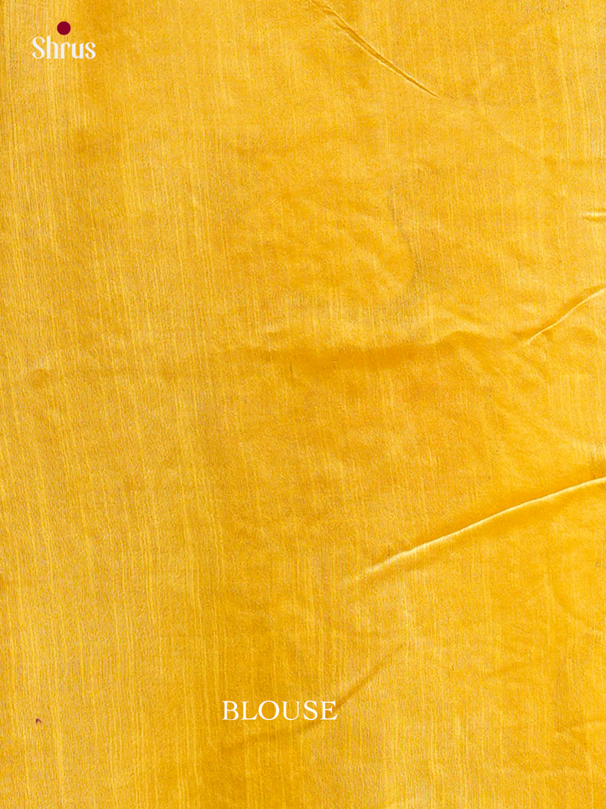 Kalamkari Applique Saree - EGS13139