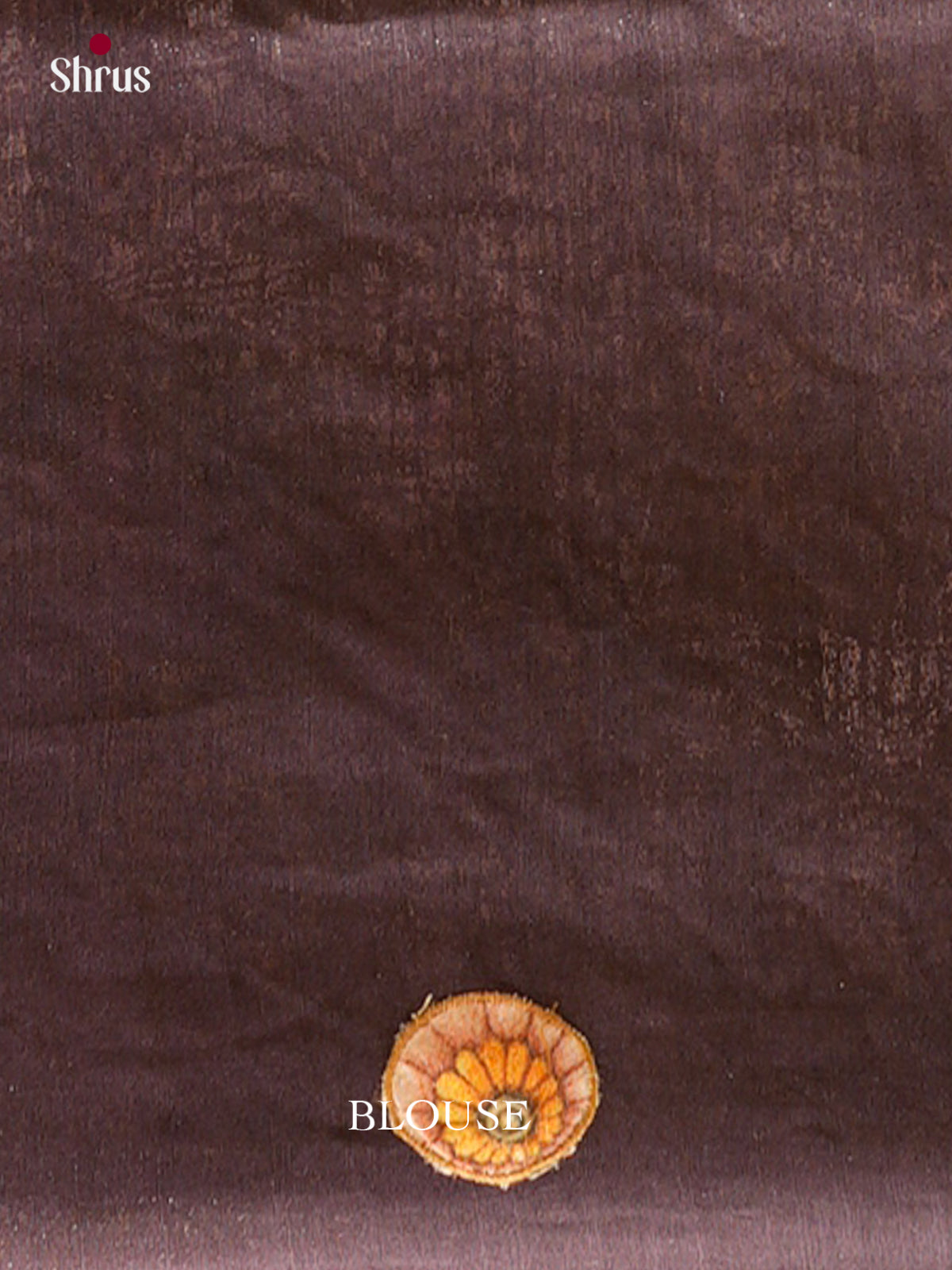 Kalamkari Applique Saree - EGS13141