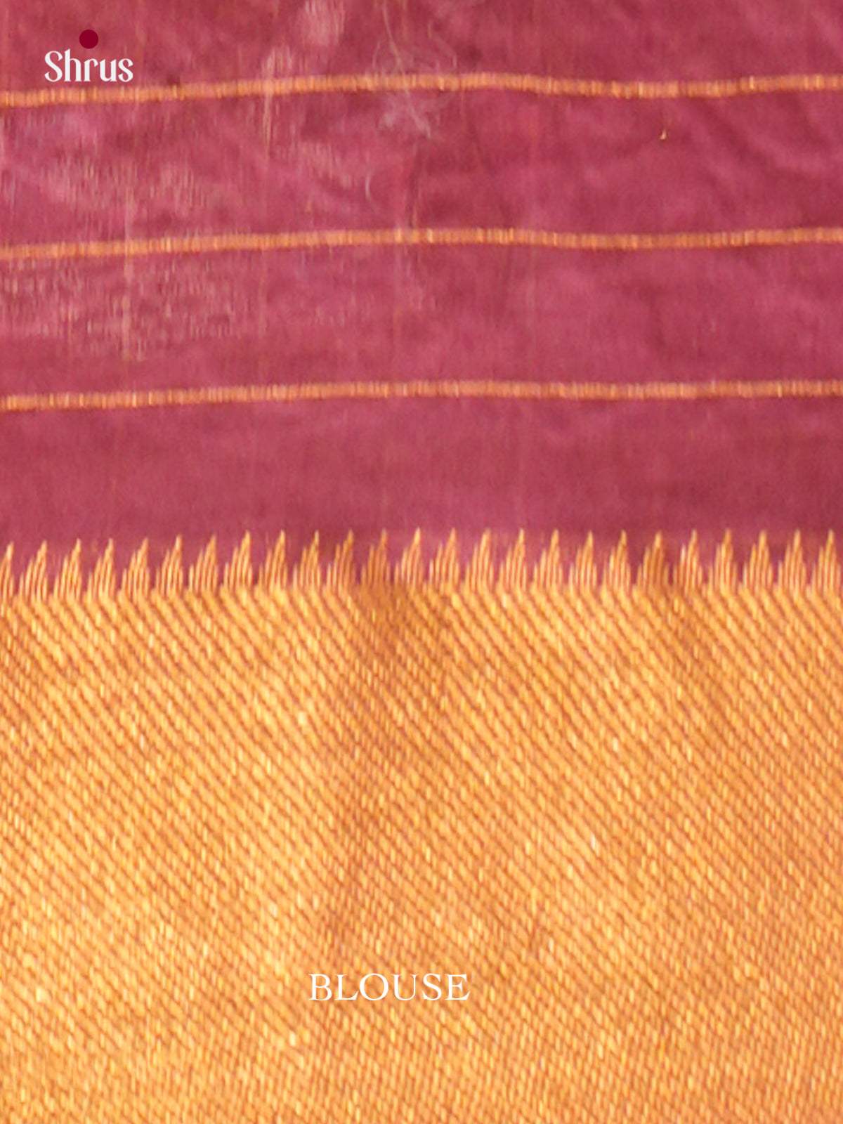 Kalamkari Applique Saree - EGS13184