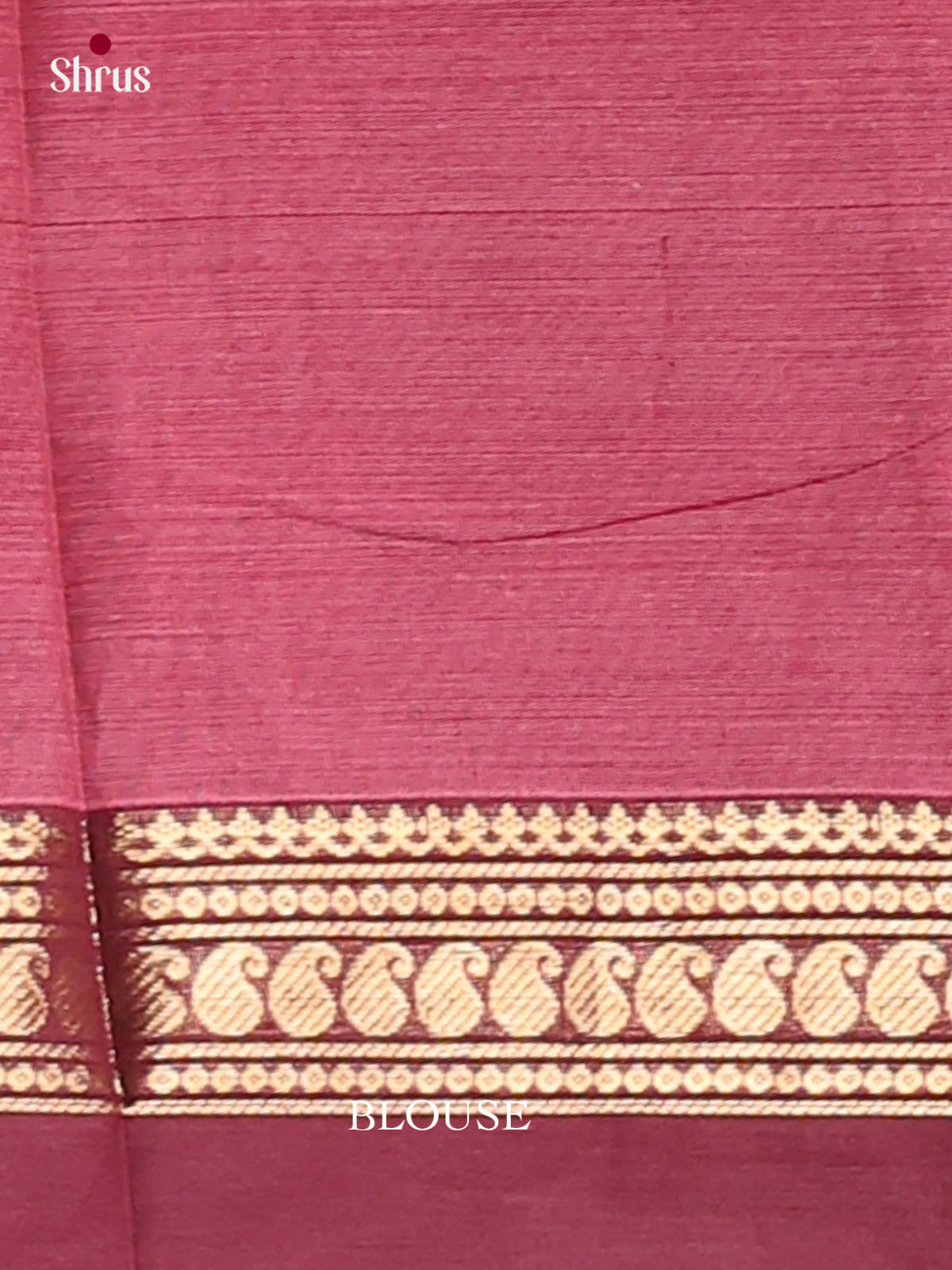 Kanchi Cotton Saree - EGS18031