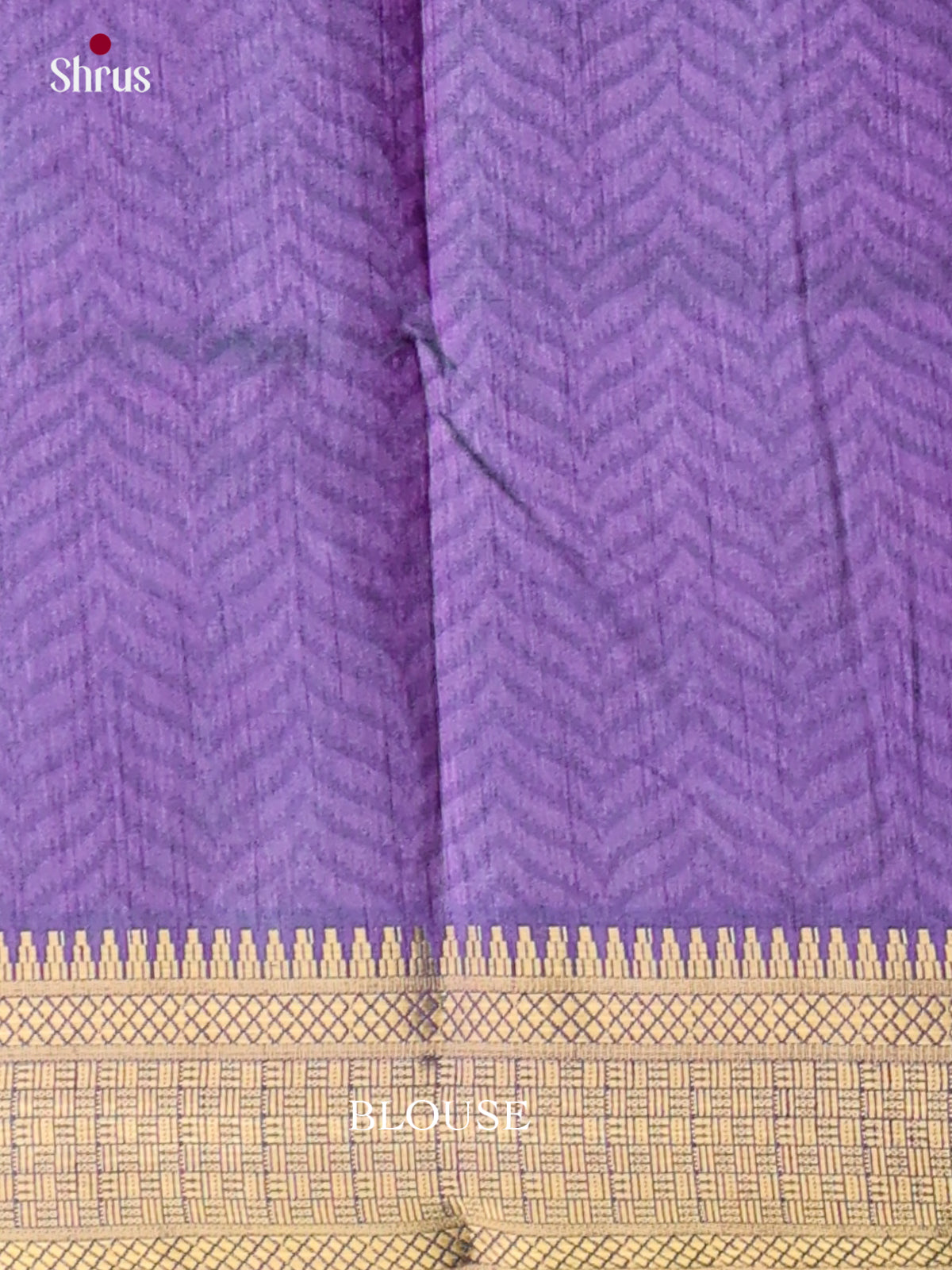 Semi Patola Saree - EGS21110
