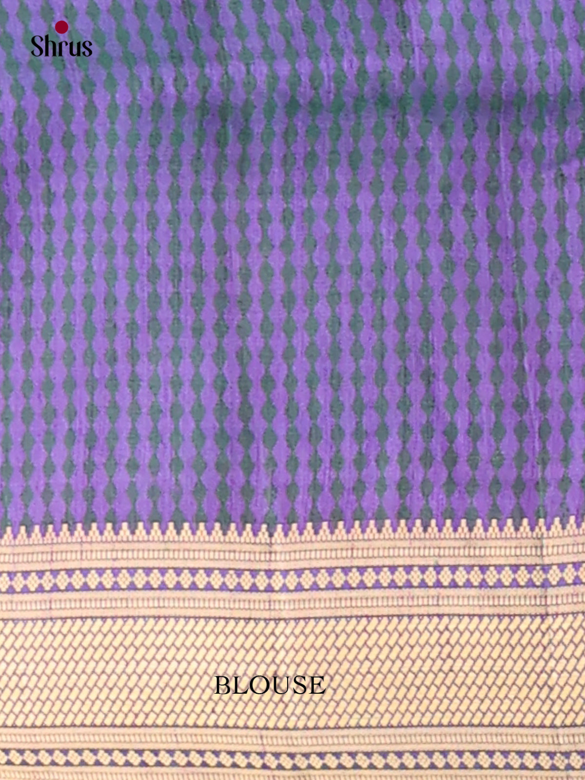 Semi Patola Saree - EGS21115