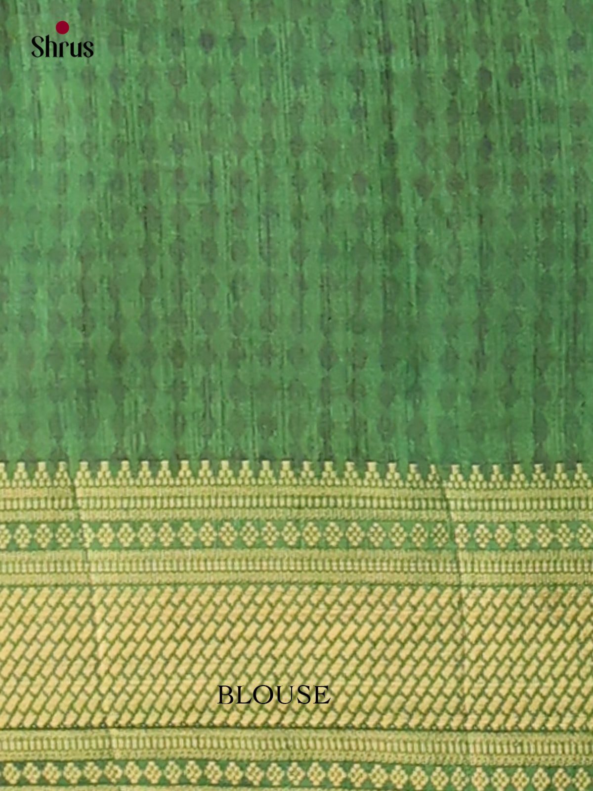 Semi Patola Saree - EGS21125