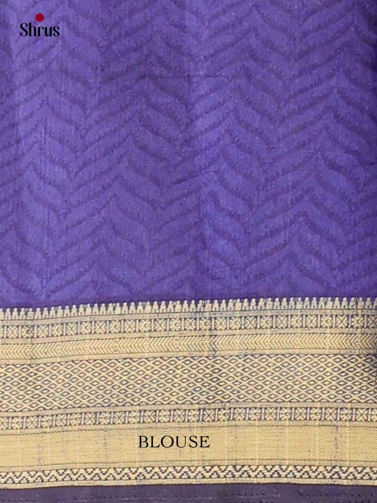 Semi Patola Saree - EGS21146