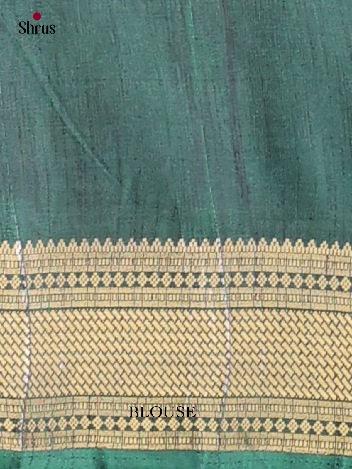 Semi Patola Saree - EGS21209