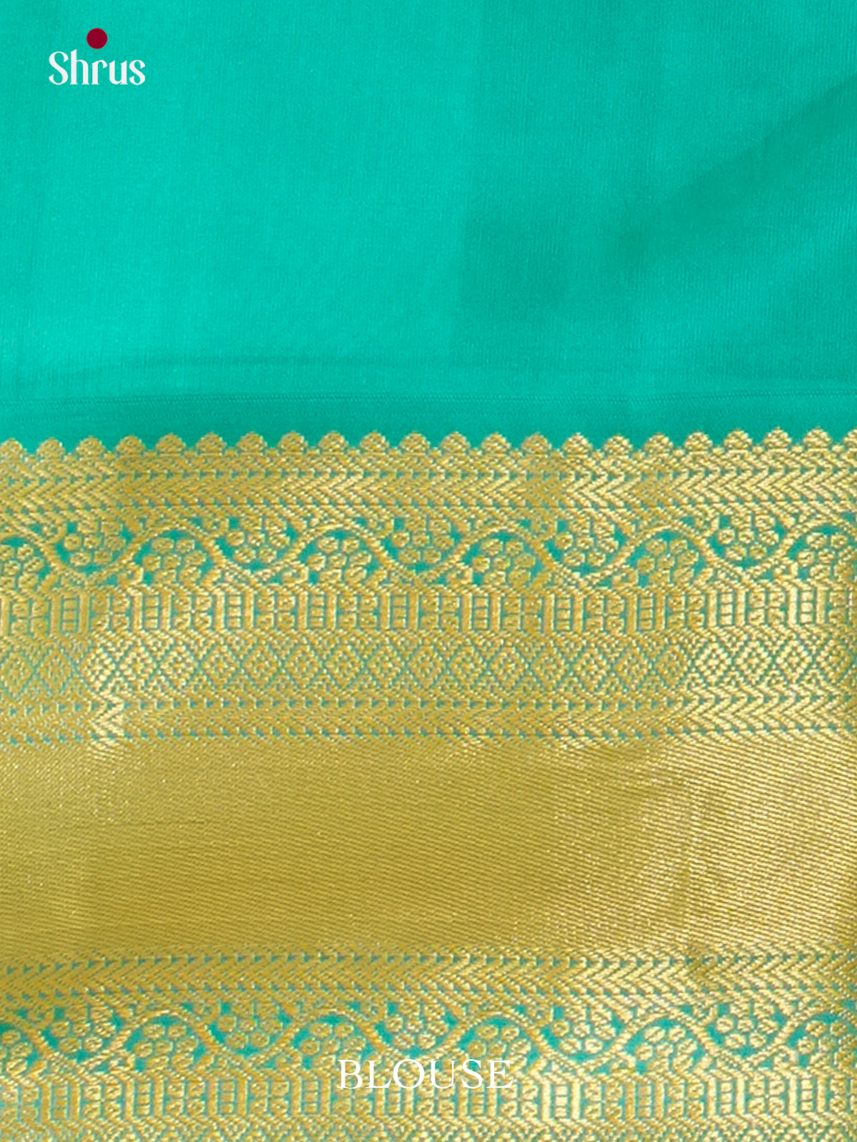 Kanchipuram-halfpure Saree - EH01109
