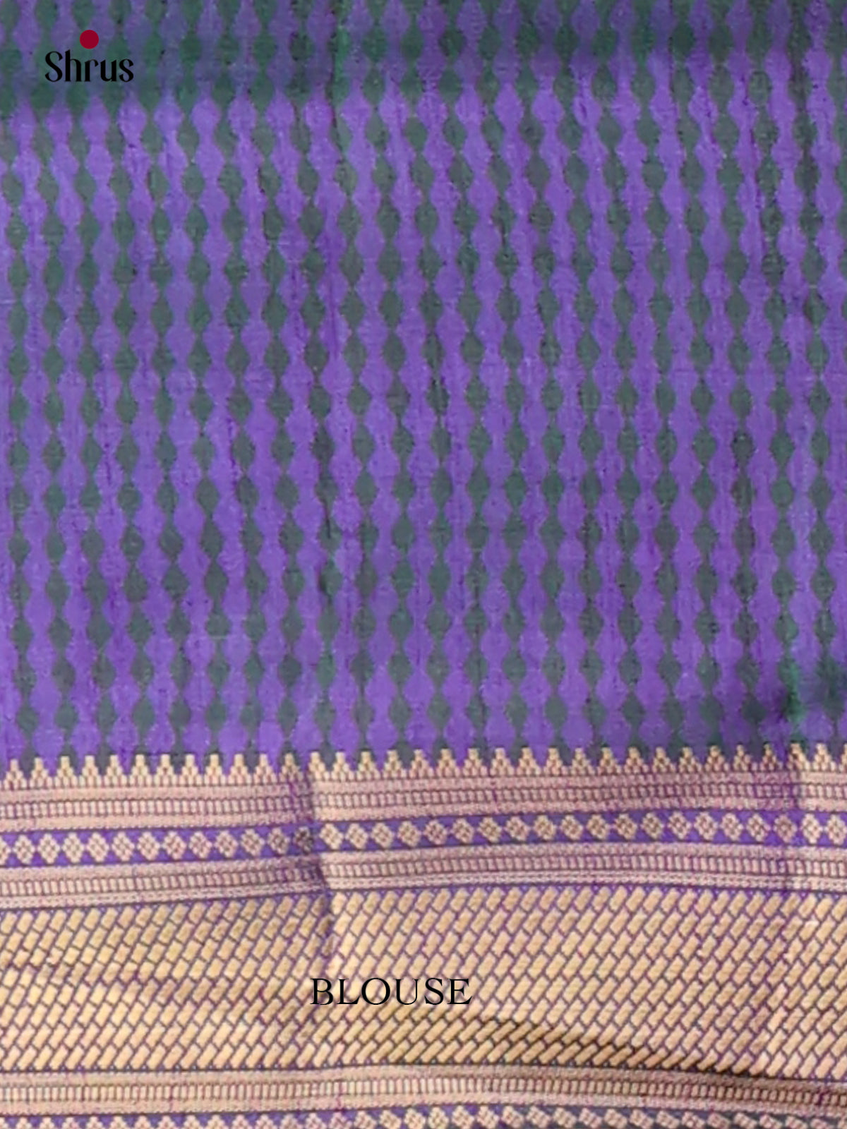 Semi Patola Saree - EH04026
