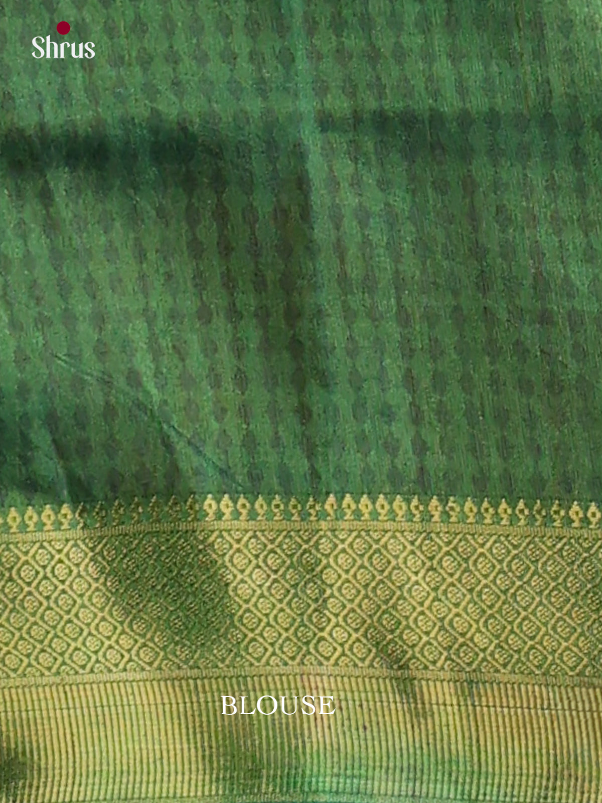 Semi Patola Saree - EH04030