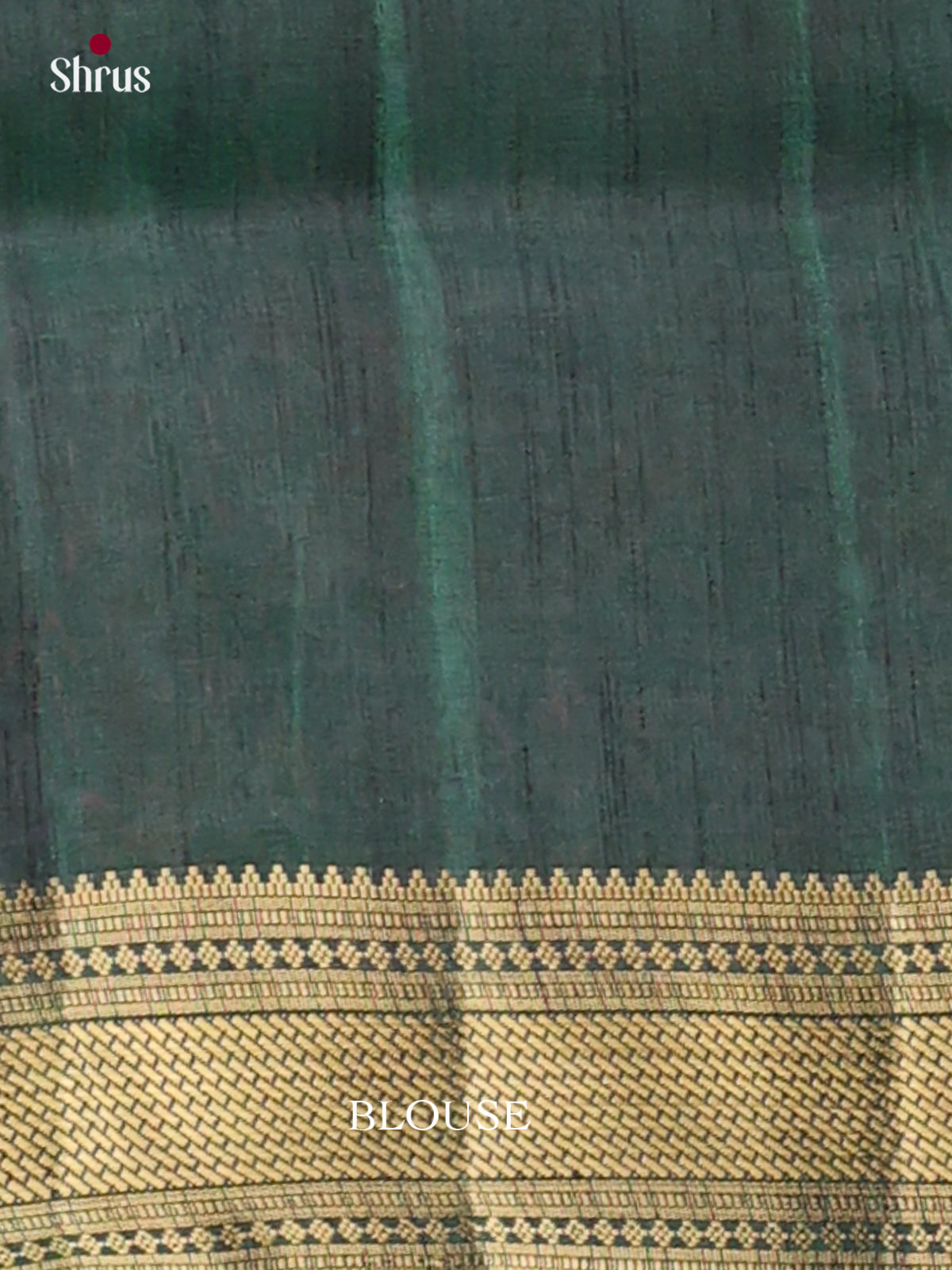 Semi Patola Saree - EH04032