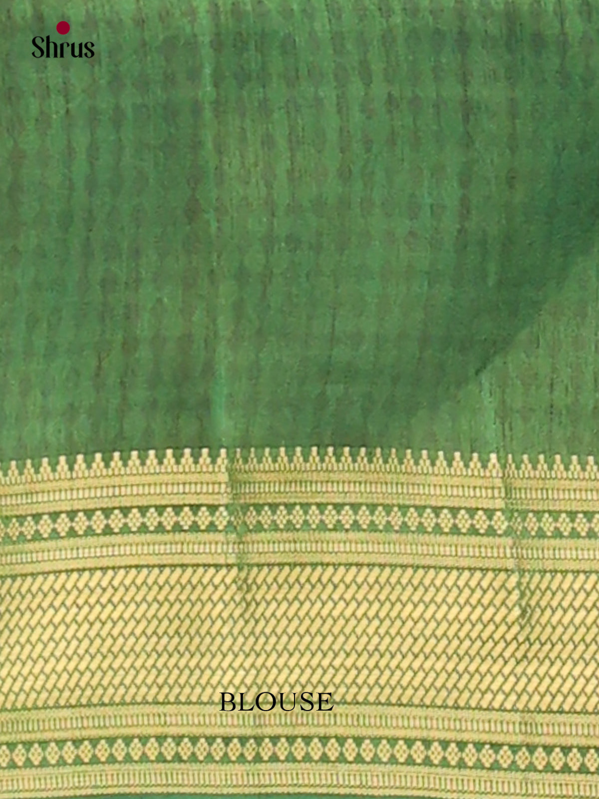 Semi Patola Saree - EH04040
