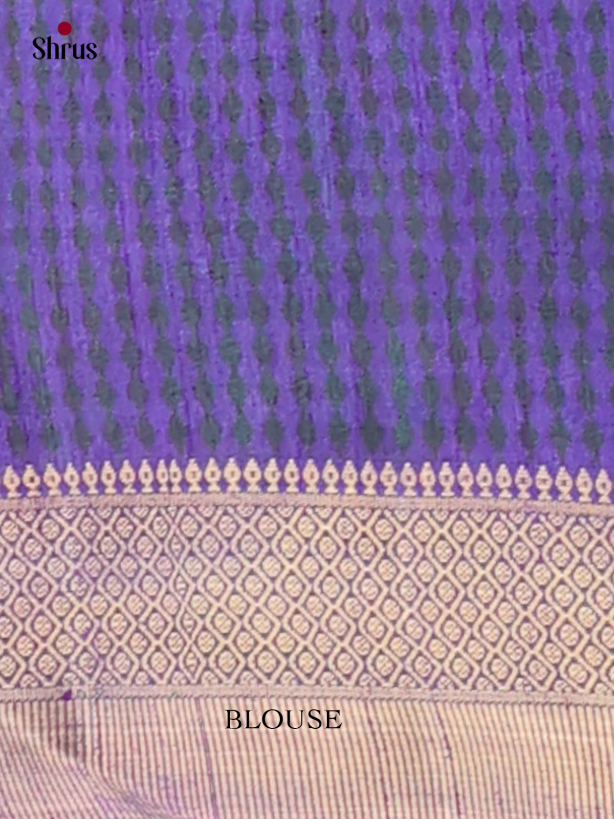 Semi Patola Saree - EH04042
