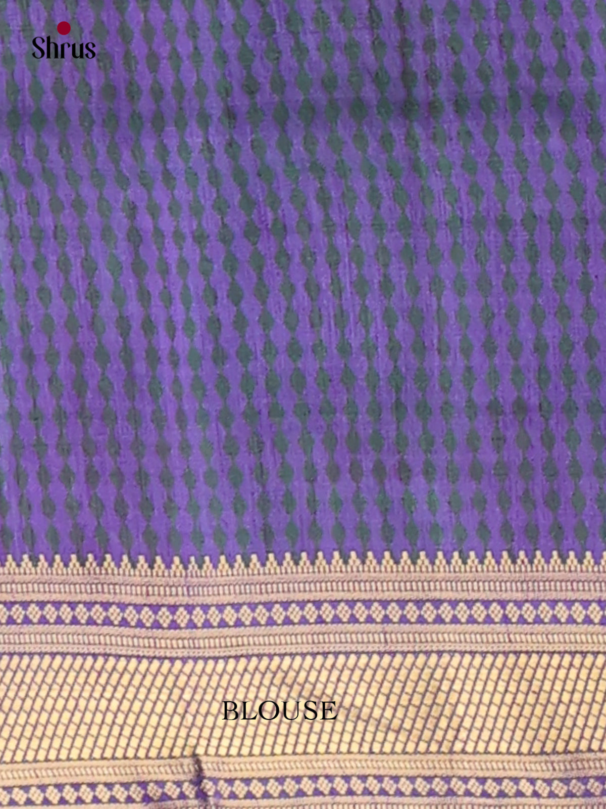 Semi Patola Saree - EH04047