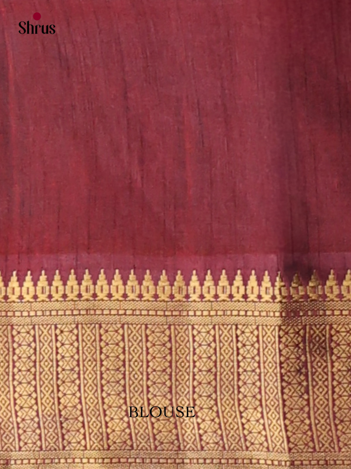 Semi Patola Saree - EH04059