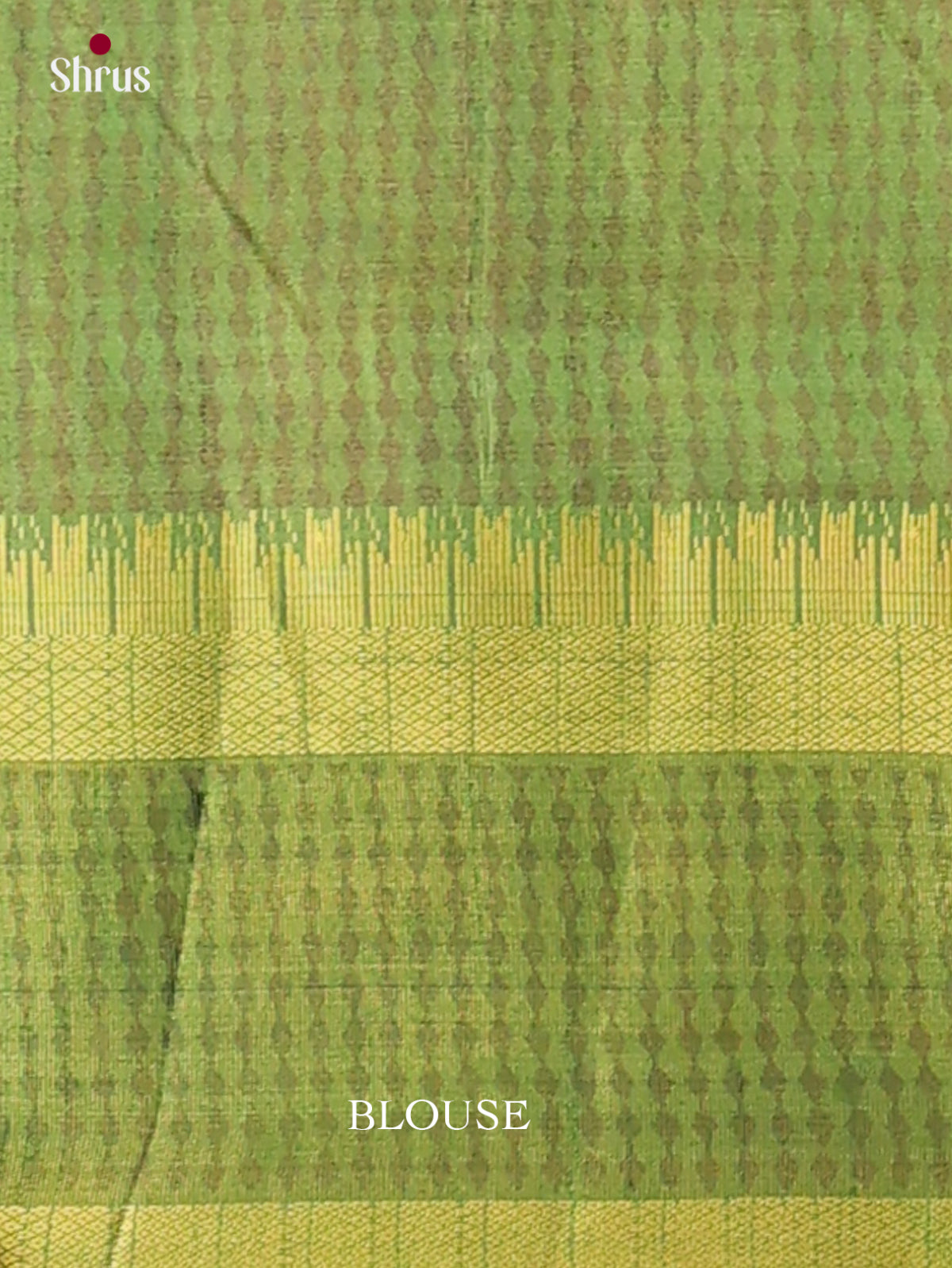 Semi Patola Saree - EH04175