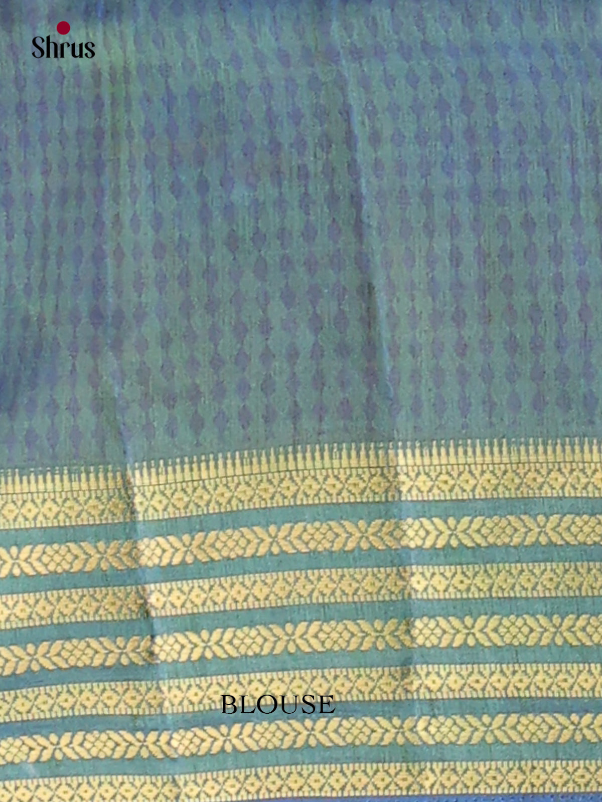 Semi Patola Saree - EH04257