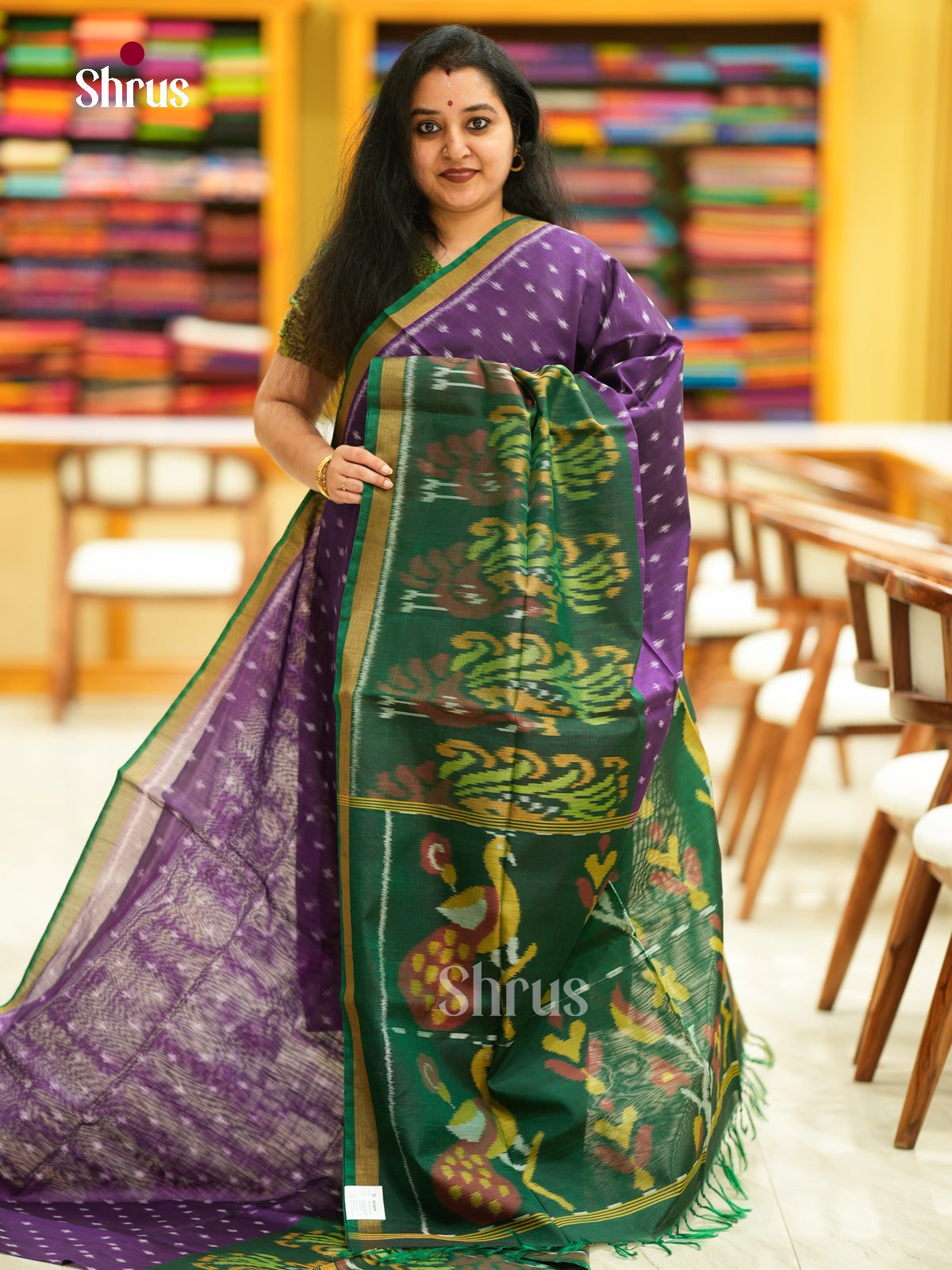 Pochampally sico Saree - EH14042 - Shop on Shrus.com