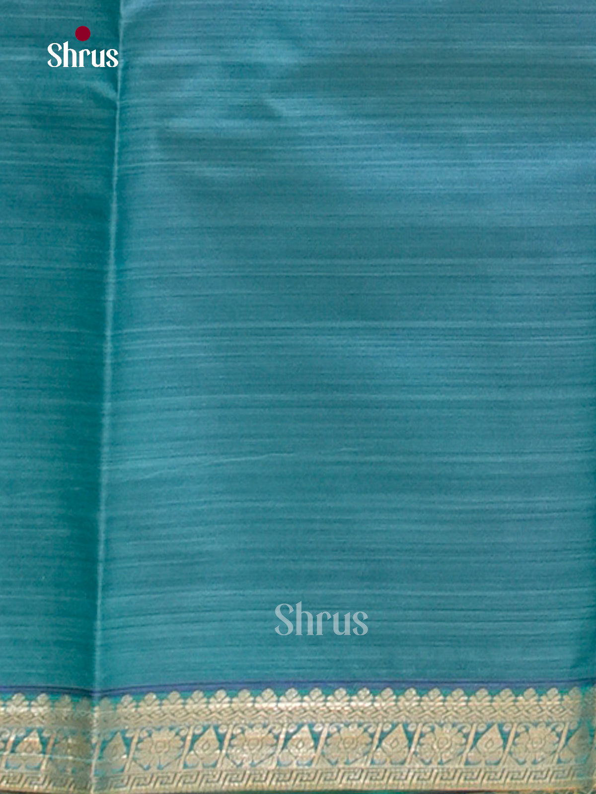 Kanchipuram-halfpure Saree - EH17005