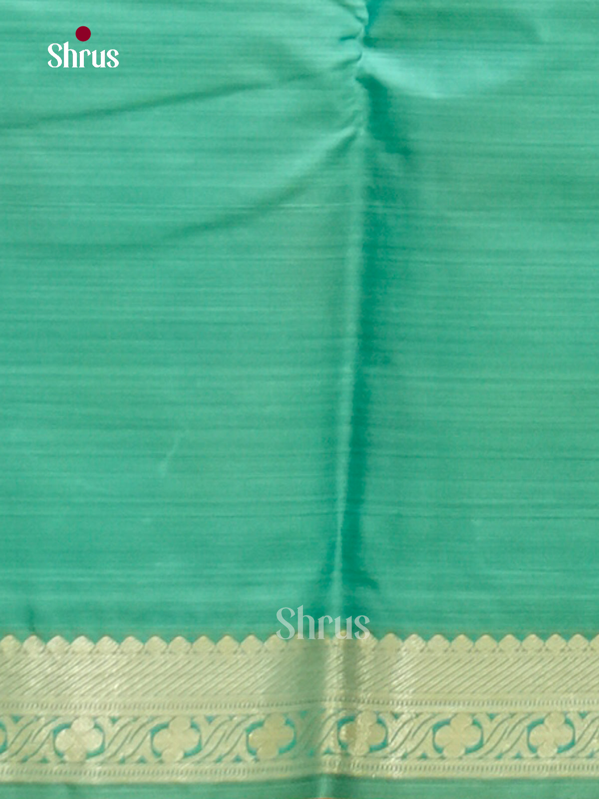 Kanchipuram-halfpure Saree - EH17008