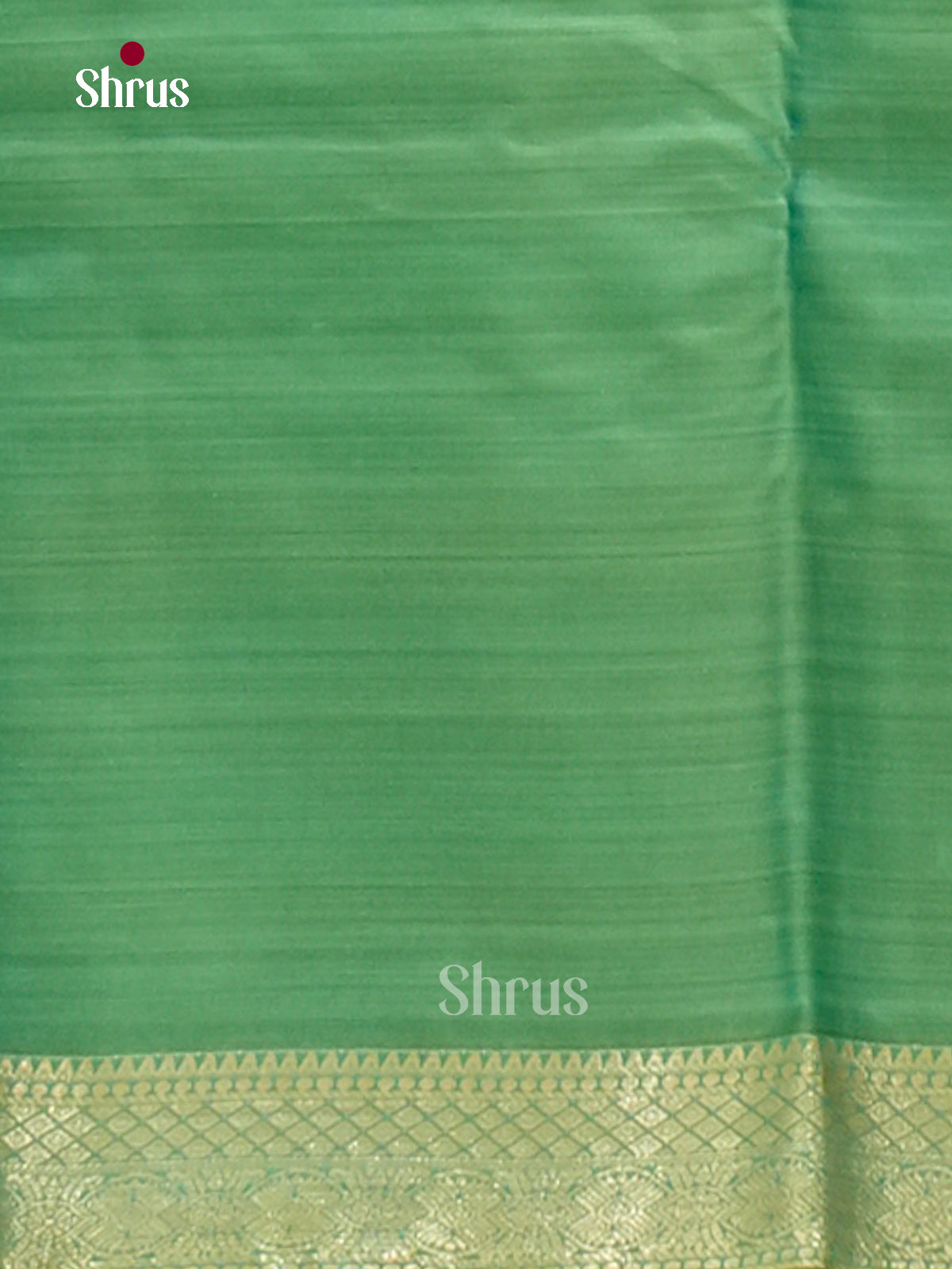 Kanchipuram-halfpure Saree - EH17013