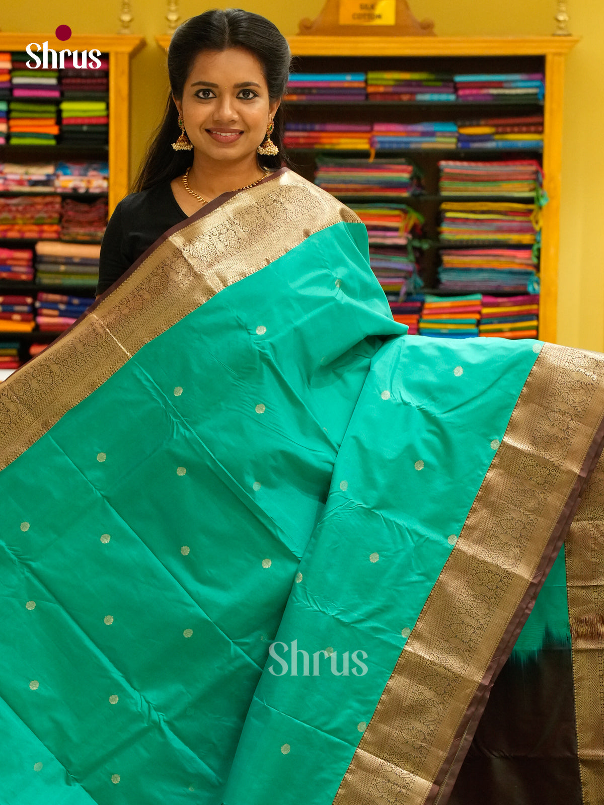 Kanchipuram-halfpure Saree - EH19005