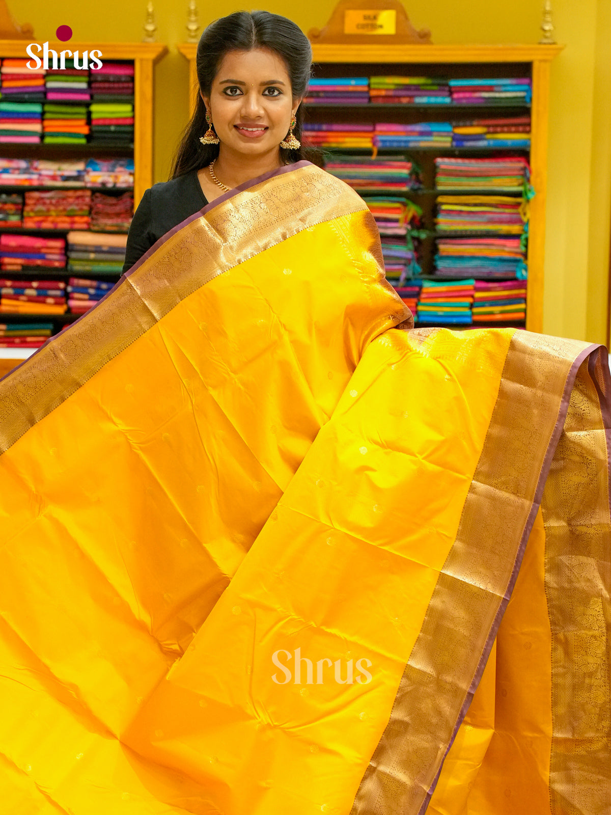 Kanchipuram-halfpure Saree - EH19013