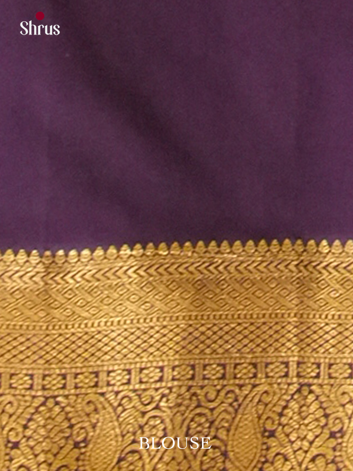 Kanchipuram-halfpure Saree - EH19019